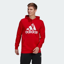 ADIDAS ESSENTIALS BIG LOGO HOODIE