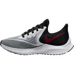 NIKE WMNS ZOOM WINFLO 6